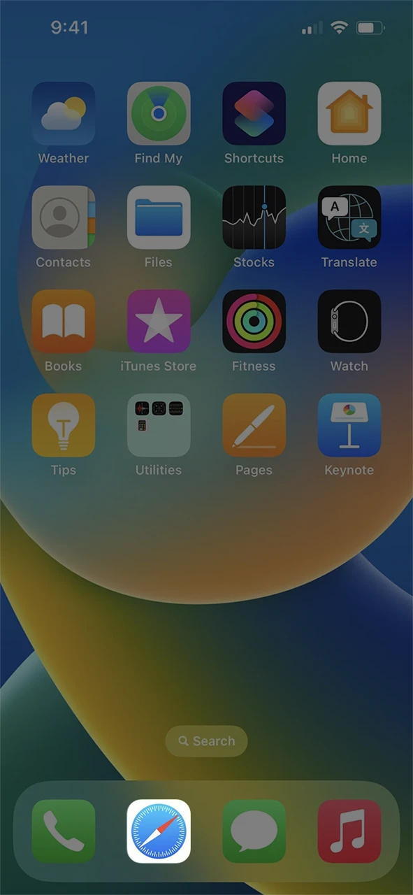 Open Browser on your iOS device.