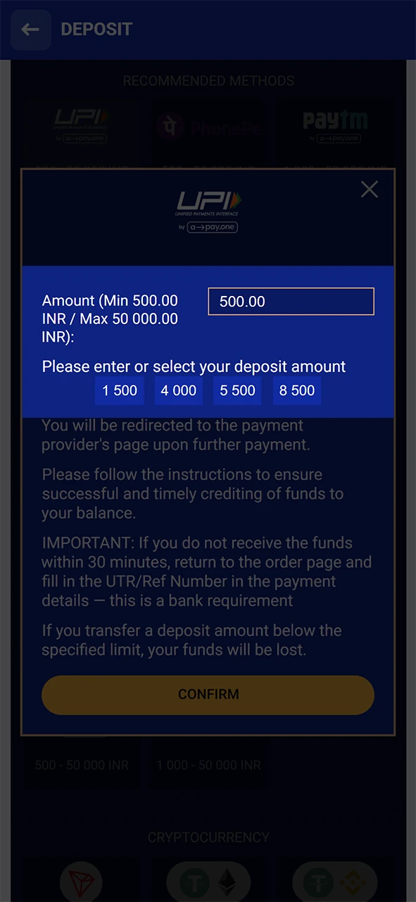 Enter the amount you wish to deposit into your SapphireBet account.