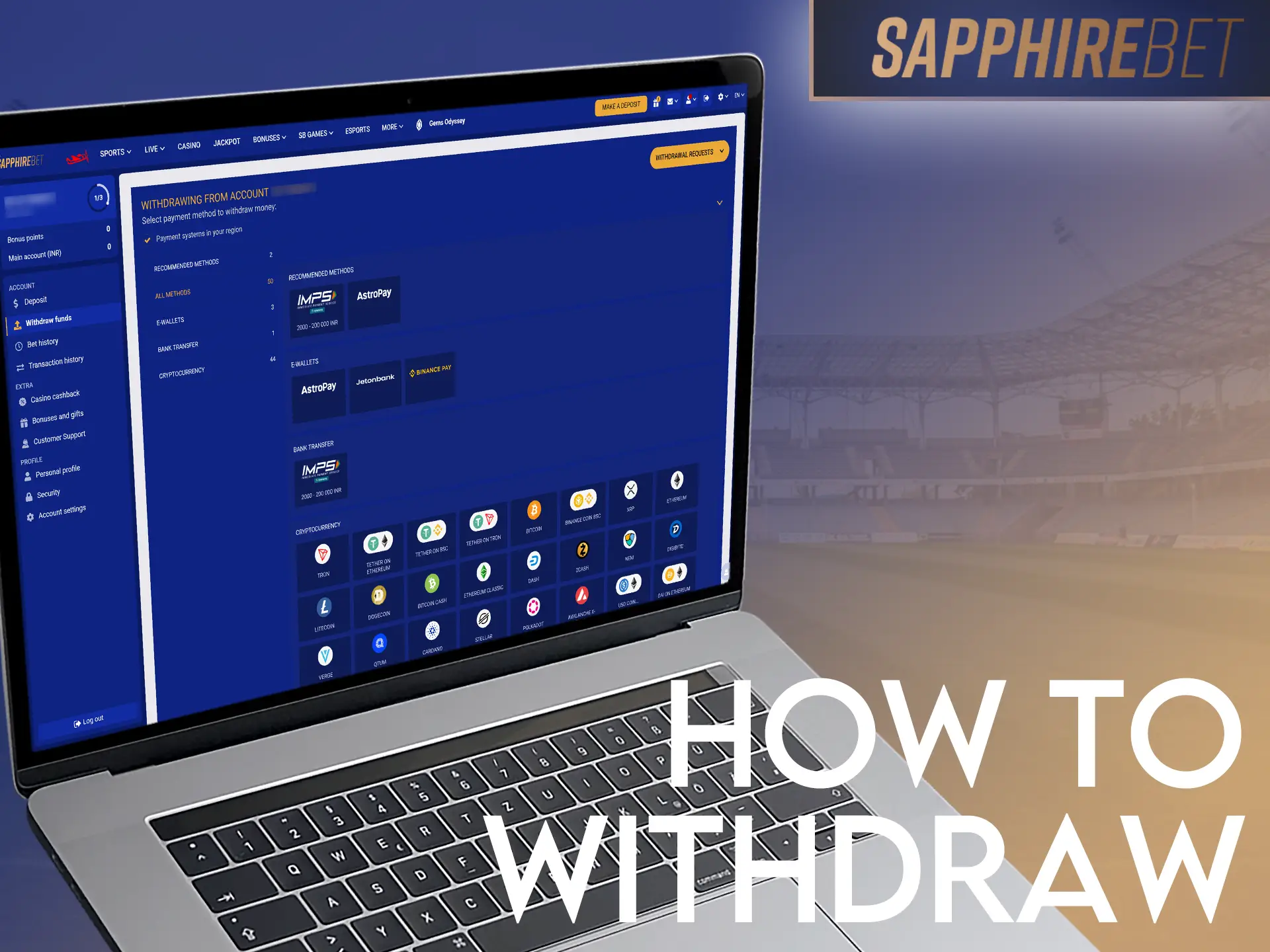 Withdraw SapphireBet winnings instantly via card, bank, or crypto.