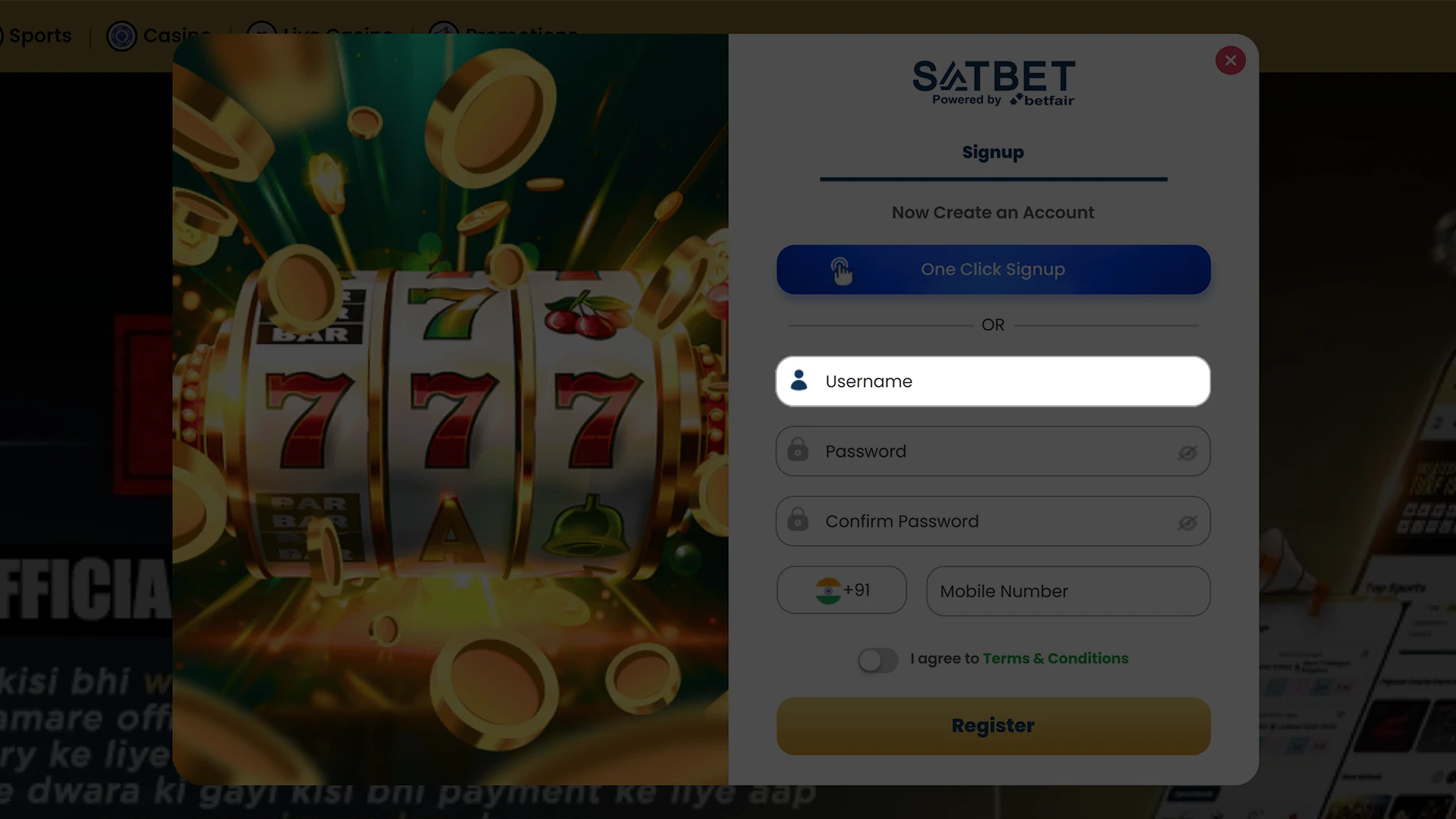 Enter your Satbet account name.